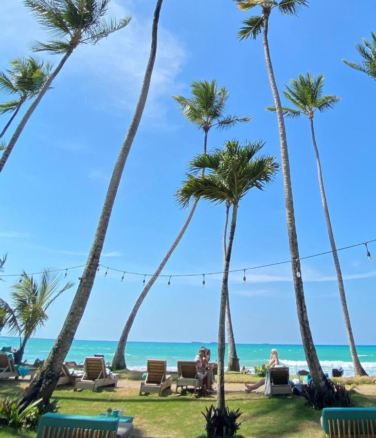 El Mosquito Boutique Hotel Playa Bonita Las Terrenas Eksteriør bilde
