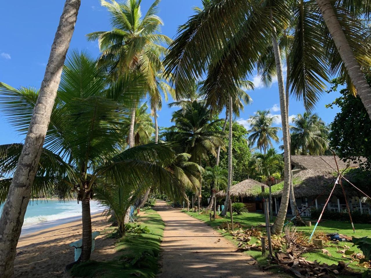 El Mosquito Boutique Hotel Playa Bonita Las Terrenas Eksteriør bilde