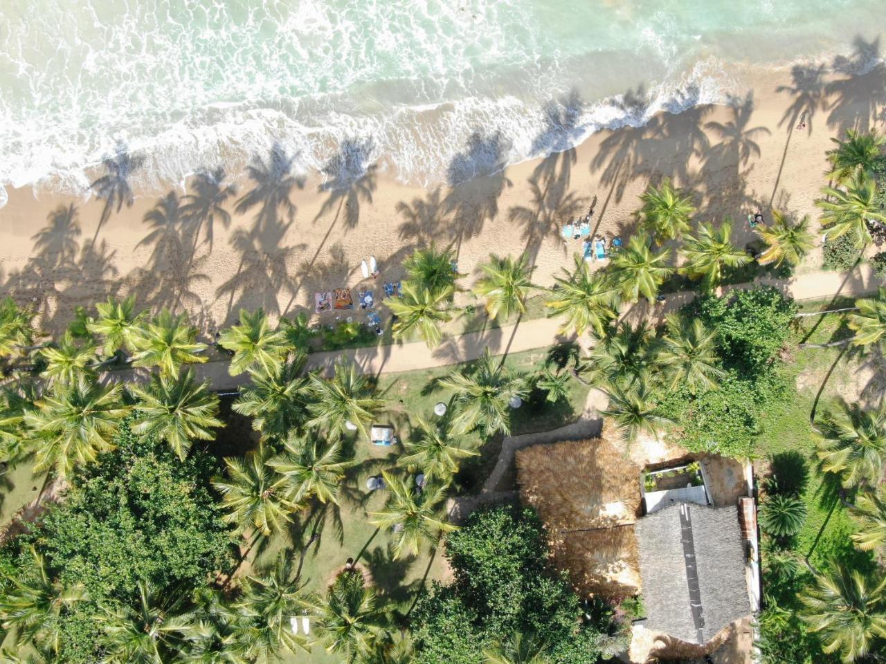 El Mosquito Boutique Hotel Playa Bonita Las Terrenas Eksteriør bilde