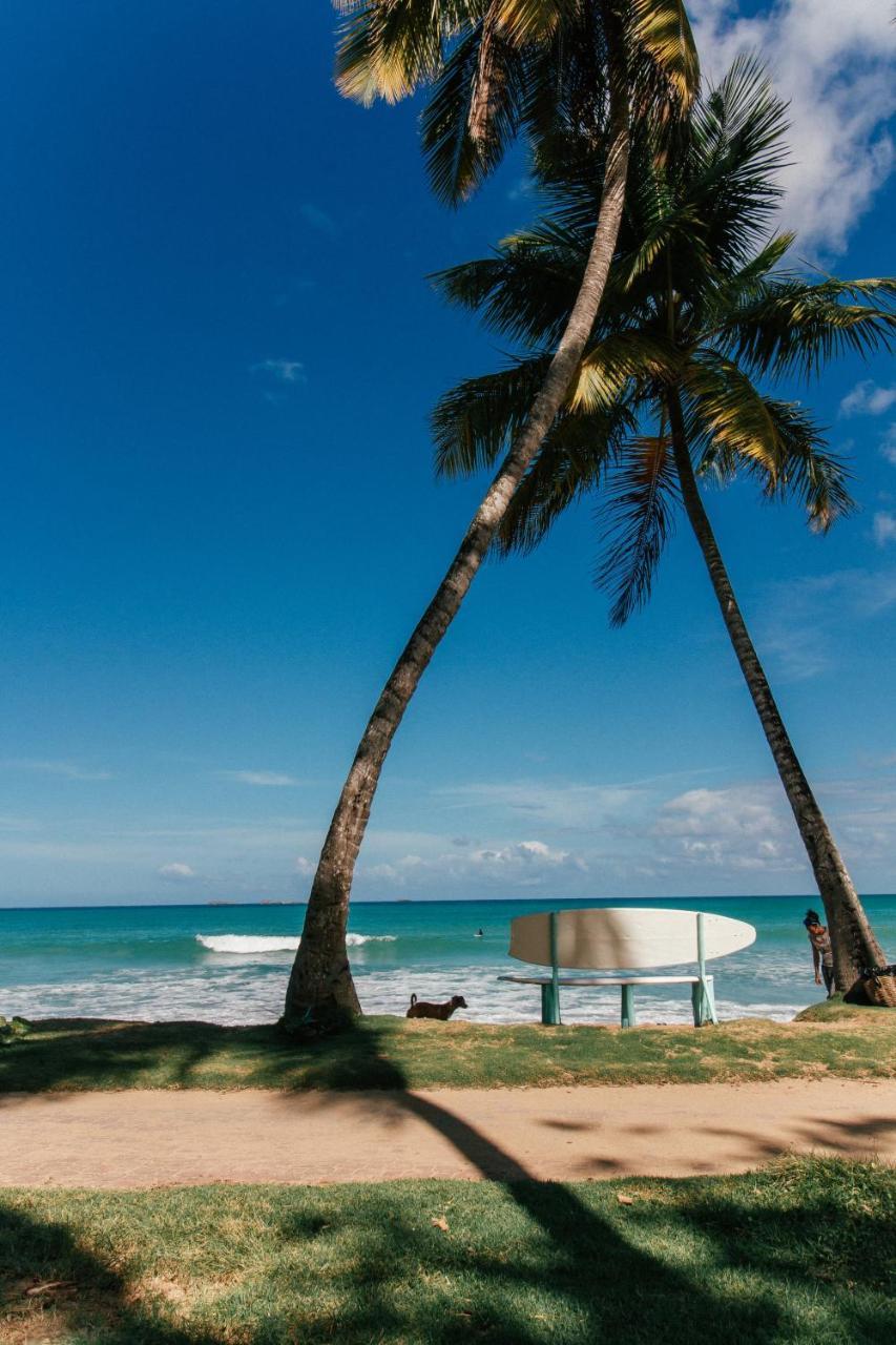 El Mosquito Boutique Hotel Playa Bonita Las Terrenas Eksteriør bilde